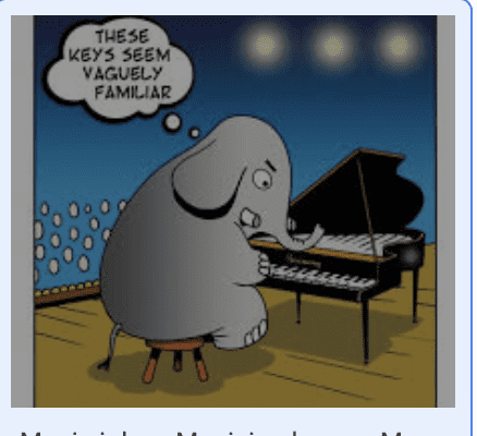 a meme of an elephant playing the piano