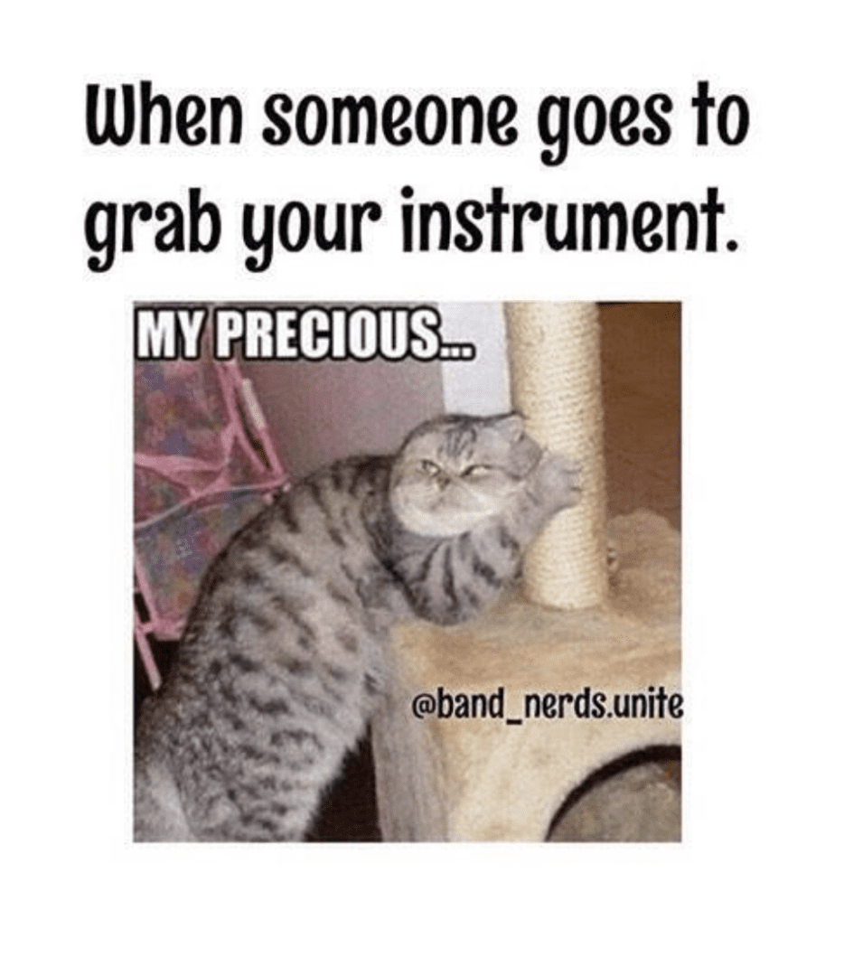 a cat meme about instruments