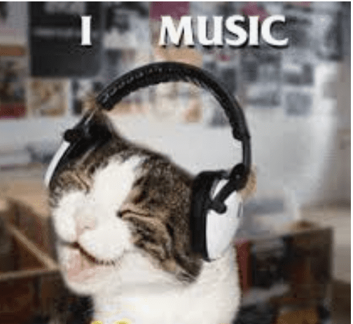 a cat with headphones