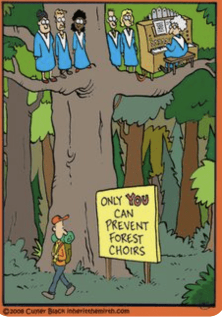 vocal coach
voice lessons
singing lessons
piano lessons
voice coach
sing with deep emotion
understanding the song
dynamics breath control
phrasing timing vocal technique